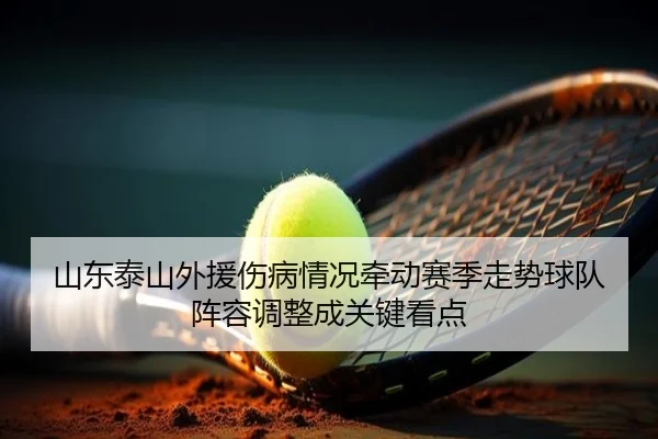 山东泰山外援伤病情况牵动赛季走势球队阵容调整成关键看点